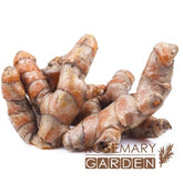 Organic CO2 extract Ginger Root essential oil